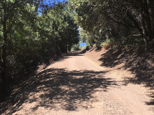Mount Konocti trail