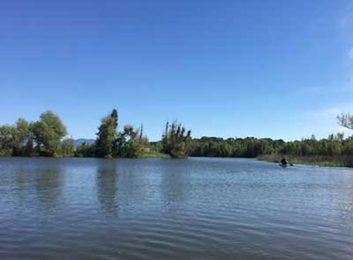 Kayaking at Rodman Slough