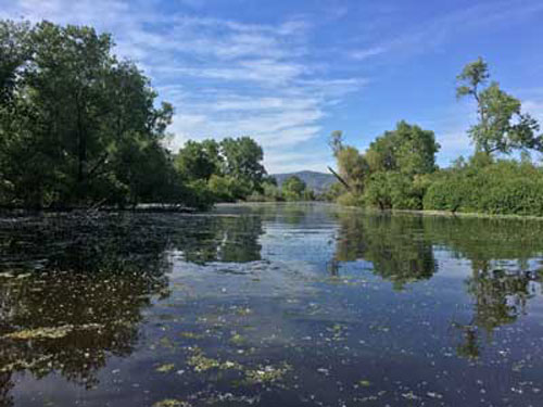 Kayaking at Rodman Slough in tranquility